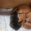 Thumbnail of new posts 049