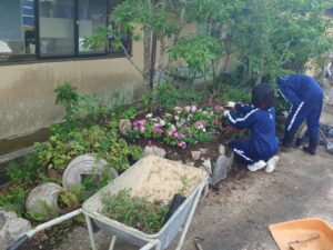 Thumbnail of post image 163